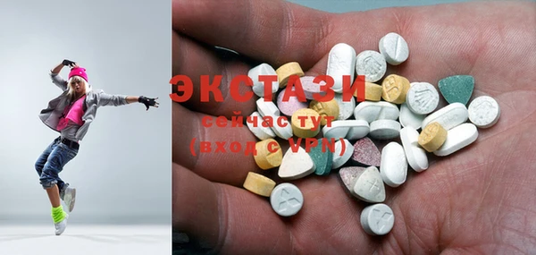 хмурый Аркадак