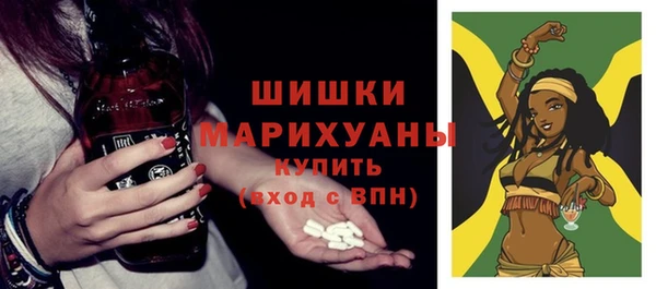 хмурый Аркадак