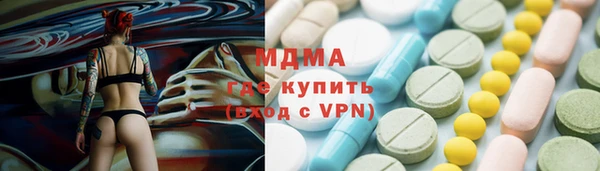 хмурый Аркадак