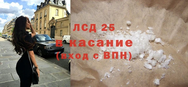 хмурый Аркадак