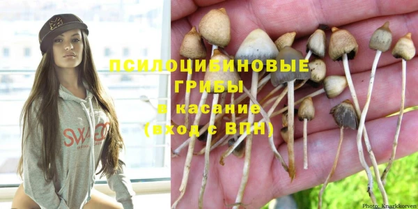 дживик Армянск