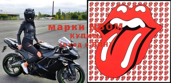 хмурый Аркадак
